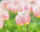 強迫性障害の方へ✨そのつらさに心から寄り添います 強迫性障害でお悩みの方＊もうあなたひとりではありませんよ☘️ イメージ8