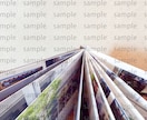 大切なお写真をアルバムにいたします データだけでなくアルバムとして記念に残すお手伝いをします！ イメージ5