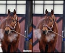 画像加工・レタッチ承ります Photoshop/合成/画像加工/写真加工/写真修正/人物 イメージ7
