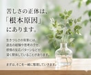 今すぐ話したい｜生きづらさを構造から整えます ｜モヤモヤ｜ストレス発散｜本音｜不安｜愚痴｜人間関係｜お悩み イメージ4