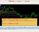 ナンピンで溶かし続ける貴方にFXの命綱を渡します 強制であり矯正　ナンピン癖とサヨナラしたい方へ イメージ6