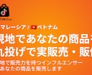 海外進出前に商品をテスト販売できます ベトナム・マレーシアで現地インフルエンサーが実際に商品を販売 イメージ1