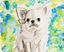 大型犬も大歓迎！A4サイズ愛犬イラスト描きます スマホの中の「お気に入り」を、壁に飾る「芸術」へ。 イメージ5