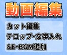 カット、テロップ入れ、動画編集いたします 5分以下の動画ならなんでもOK イメージ1
