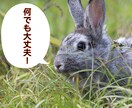 文数無制限！1時間！即レス！なんでも！お話聞きます 相談、愚痴や雑談をトークルームで聞きます。ぼくとお話しましょ イメージ2