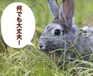 最長1日間☆短時間でも大丈夫！なんでもお話聞きます 相談、愚痴や雑談をトークルームで聞きます。ぼくとお話しましょ イメージ2