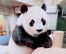 神戸のお土産選びます 他県の方などにちょっとしたお土産などをご紹介!! イメージ2