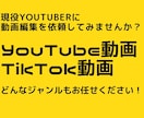 YouTube動画、TikTok動画、編集します どんな動画でも現役YouTuberが編集します！ イメージ1