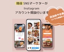 初心者向けInstagramの運用コンサルします 現役SNSマーケター（自治体・企業顧客実績あり）がサポート イメージ1