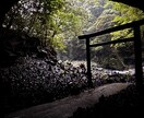 魂の声・相手の本音・未来とつながる深層鑑定します <スピード納品>魂の声と未来のサインを深層から読み解く占い イメージ9