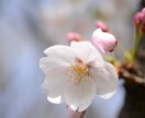 心のモヤモヤから解放！デトックス手伝います 初めての方歓迎◎心に寄り添う鑑定で前を向くヒントをお届け。 イメージ6