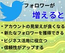Twitter日本人+アジア人フォロワー増加します 減少率低め！30日減少保証付き！1000人増加確実！！ イメージ3