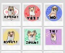 ペットのLINEスタンプを作成します 簡単ですぐ制作に取りかかれます！画像を送るだけ！ イメージ2