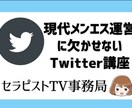 メンズエステ【SNS運用マニュアル】を提供します 3年間空き枠なしのTwitter集客術！ イメージ1