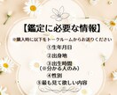 あなたのトリセツ！秘められた才能や魅力を鑑定します 星読みで見つける、自分らしい生き方の秘訣 イメージ3
