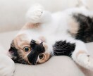 なんとなく人恋しい方!歓迎します おやすみ前にちょっと寄り道、していきませんか? イメージ3