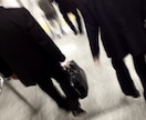 転職・就職なんでも相談室/住宅業界の実情を教えます 住宅業界で営業・設計・現場・リフォーム全ての経験を持つ建築士 イメージ4