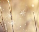 前世占いで、過去と未来を見ています 癒しセンリツの、前世占いで紡ぐ☆ イメージ1