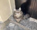 お話し聞きます ちょっと話したい方、相談アドバイス、お気軽にお声掛けください イメージ2