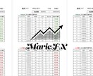 ついにアノマリー解析ツール販売します いつまで出品するかわかりません イメージ2