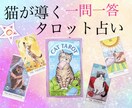質問1つ＊猫が導くタロット占い＊優しい鑑定をします 猫のお導きからあなたの背中を押す優しいタロット占いです イメージ1