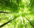 疲れたなぁ 生き辛さを感じてるなぁ お話聞きます ストレス溜まってるとき、いつも緊張感があると疲れますよね！？ イメージ1