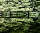 京都切リ撮リ宅配便！ご希望の写真を撮ります 京都の思い出の場所・人・物・事 の写真を撮ってきます イメージ7