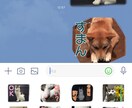 犬猫のペットの可愛いラインスタンプを8個作成します 家族や友人など可愛いペットのスタンプを送りたい方にオススメ! イメージ1