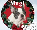 クリスマス向けペット写真SNSアイコンを制作します うちの子写真で現役デザイナーがセミオーダーで制作 イメージ1