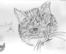 ロゴを作ったりやSNSアイコン描いたりします ロゴも出来てイラストを描ける２つ同時に出来るのはここだけかと イメージ2