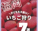インスタグラムの投稿作成をします ターゲットに刺さる投稿デザイン！ イメージ3