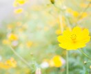 ママ友は人間関係の縮図！男性ももちろん活用できます 一緒に考えて実践へ❤きっとプラスになりますよ。 イメージ5
