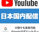 1万円※YouTube動画の再生回数増加させます リアル視聴者の再生回数を3,000回広告を使って増やします イメージ4