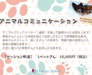 ペットさんからのメッセージをお伝えさせて頂きます あしたは今日より・・・いい日になるよ～ イメージ1