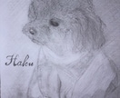 世界に一枚だけの愛犬鉛筆アートを制作します 一生残る愛犬の肖像画を鉛筆一本で制作させていただきます イメージ1