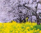 人知れず頑張っているあなたのことを褒めます 誰も認めてくれない！そんな不満をぶつけて下さい。 イメージ8