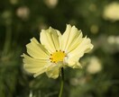 いのちのチャット。優しくお聞きします 心の悩み、どうしたらいいのか相談にのります。 イメージ1