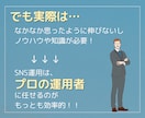 X(Twitter)1ヶ月運用サポートします 現役プロSNSマーケターがアカウントの成長をサポート！ イメージ5