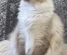 気軽に話せます みんな笑顔になれるように‼︎友達感覚でお話しできます‼︎ イメージ1