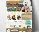 女性ウケするチラシ作成します オプション・追加料金なし！どんなデザインも15,000円で！ イメージ1