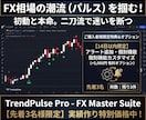 先着3名！初動と本命の二刀流でFX相場を攻略します 急変リバウンドから本命順張りまで！迷いを無くす二刀流ツール イメージ4