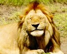 30枚！iPhoneの写真を良い感じに加工します 過剰な加工は一切なし！写真を送るだけで思い出が鮮やかに！ イメージ2