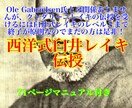 オレ・ガブリエルセン氏直伝エネルギー各種伝授します ☆クンダリーニレイキ®︎アルティメット他定期購入で色々伝授も イメージ7