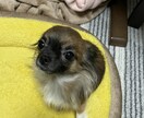 精神的な病気、うつ病でも恋愛や結婚できます 辛い努力も救われるはず！恋愛や結婚で人生が180度変わります イメージ9