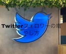 初心者向けTwitterフォロワー増やし方教えます フォロワーを増やしてTwitterを楽しめる！ イメージ1