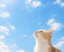 現役看護師が寄り添います ３日間チャットでお話し伺います。長文ok!雑談ok! イメージ4