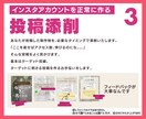 インスタグラム▶︎１ヶ月、初期サポートします インスタアカウントが壊れる前に、運用方法を教えます。 イメージ5