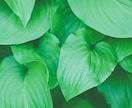 介護福祉士国家試験✨一発合格した私の勉強法伝えます PDF＋質問対応！40歳後半で挑戦した無理なく続ける勉強法 イメージ3