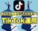 現役TikTokプロチームがアカウント運用します 運用実績250件以上のフォロワー55万人がバズらせる イメージ1