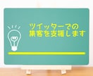 ツイッターをビジネスに活用する方法をお伝えします 期間：1ヶ月。週1回のビデオチャットによるコンサル付きです。 イメージ1